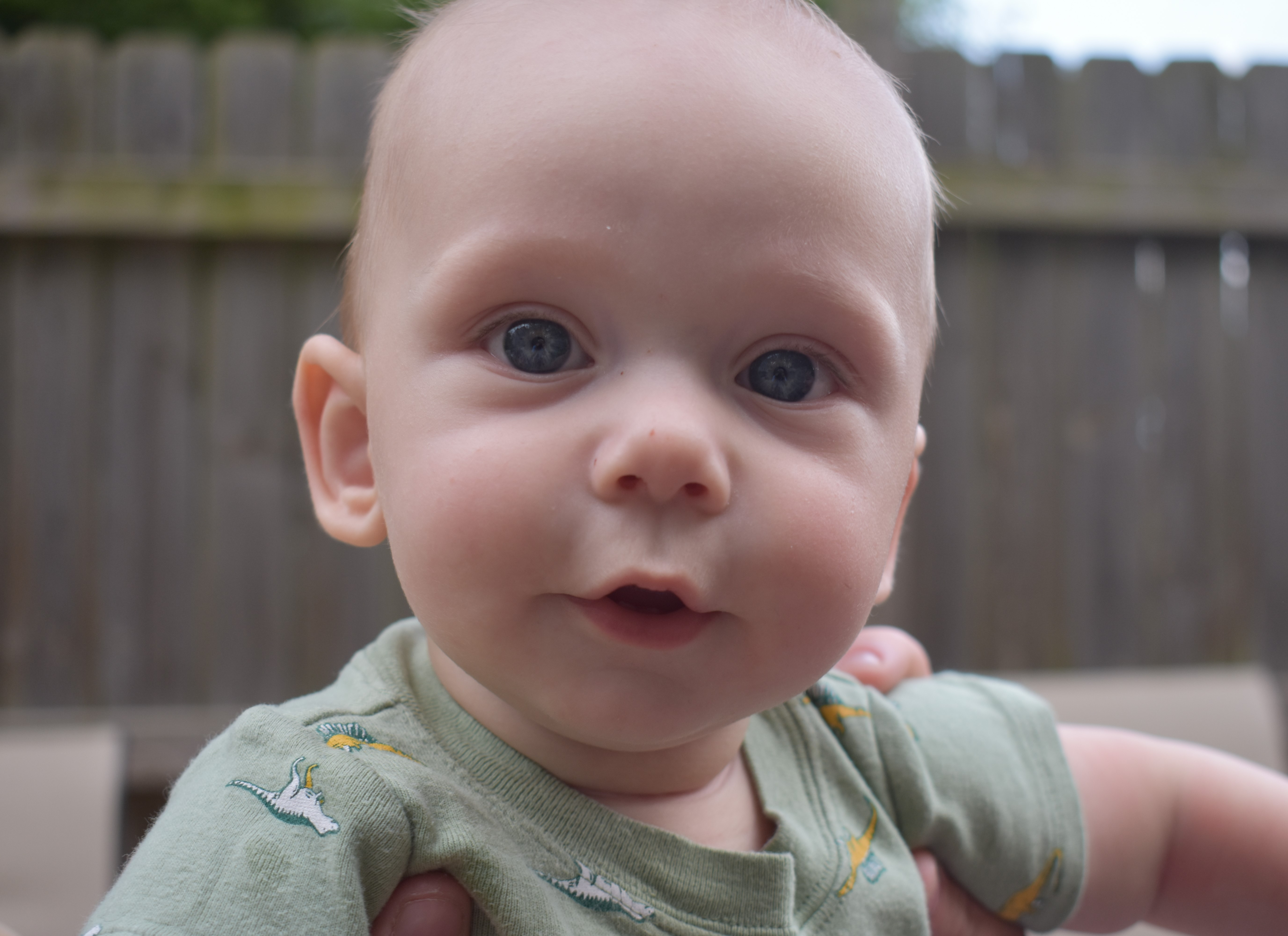 Apollo Thatcher Harris - Becky & Randy Harris' grandson